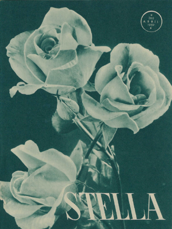 Ver capa da edição Stella Nº260