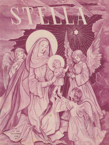 Ver capa da edição Stella Nº256