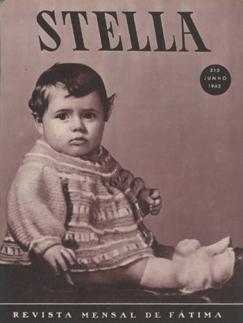 Ver capa da edição Stella Nº310