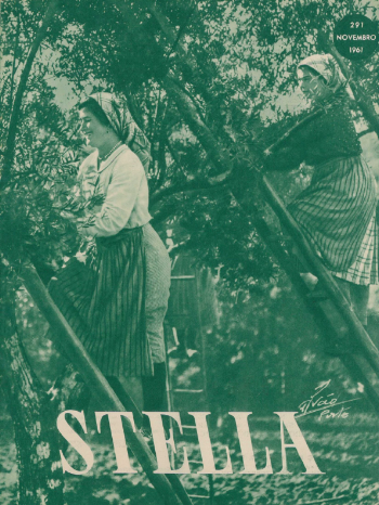 Ver capa da edição Stella Nº291