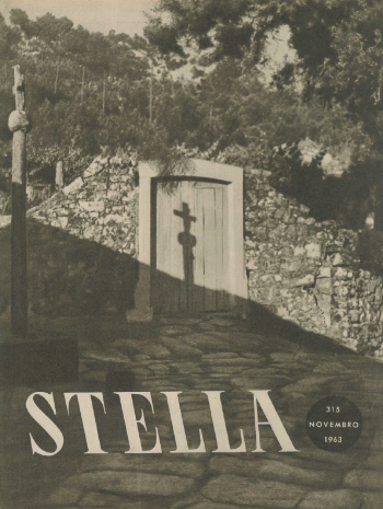 Ver capa da edição Stella Nº315