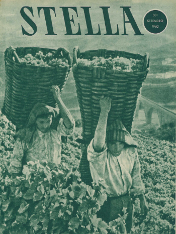 Ver capa da edição Stella Nº301